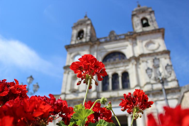 Duomo_Ph De Novellis